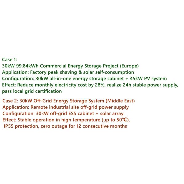 30kW All-in-One LiFePO4 Energy Storage Cabinet | C&I Solar Battery System