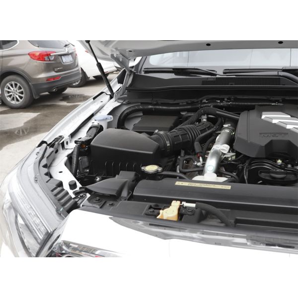 Rear Drum Braking Electric Pickup Truck Dongfeng RICH 6 EV 4x2 for Off Road Adventures