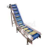 Transporte automático da lavagem do fruto do equipamento industrial da trasformação de frutos