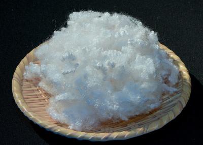 Hollow Conjugated Polyester Fiber 7Dx64MM For Filling Sofa 100% Polyester Virgin