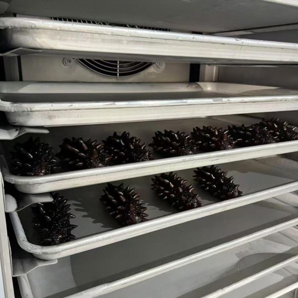 Gelato Seafood Blast Freezer Short Blast Deep Freezer Machine 10 Layers