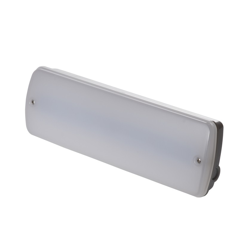 Plastic Milky Frosty Waterproof Emergency Light LED Panel Luminaire IP65 L121N