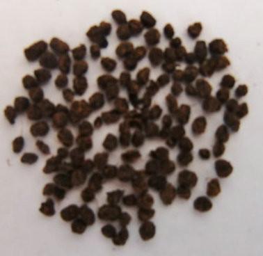 Early Spring Lapsang Souchong Organic Black Teas For Strong Bones / Detoxify