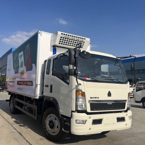 10 Tons Carry Capacity LHD RHD HOWO Freezer Truck With 6m Box