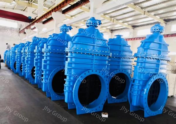 Sluice Worm Gear Gate Valve Ductile Iron Flange End Rubber Seat Valve