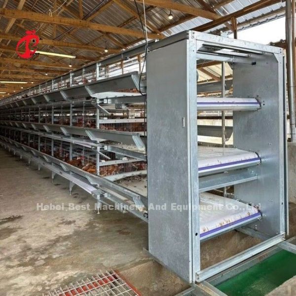 A Or H Type Broiler Chicken Cage For Poultry Farm Doris
