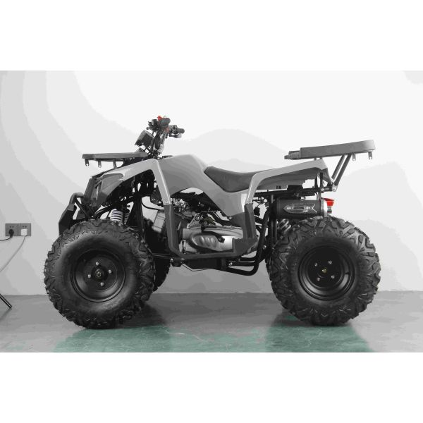 10inch Steel 4 Wheeler Gas ATV with Digital Speedometer Display and Max Speed 75km/h