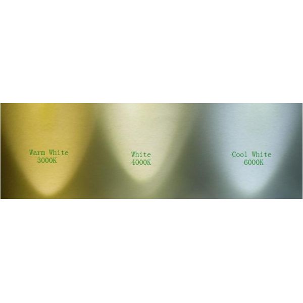 150mm led down light hot sales quality LED Down light