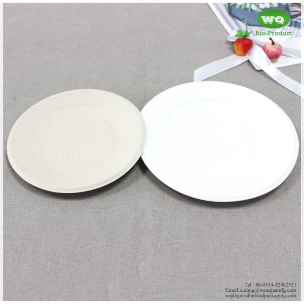 5 Inch Sugarcane Compostable Plates Natural Plant Fibers Plate, EU Standard Biodegradable Plate Wedding Charger Plates