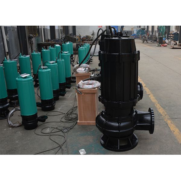 Construction Submersible Drainage Water Pumps Fecal Rain Sewage 37kw 50hp