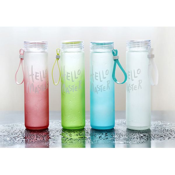 Красочная замороженная бутылка напитка 500мл, круглый легковес изолировала контейнеры напитка