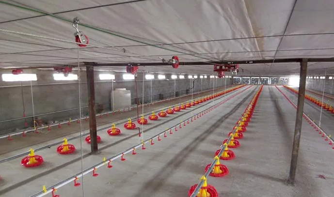 Broiler Farming Floor Raising System with Automatic Feeding Pans and Corrosion-Resistant Nipple Drinkers for Humidity Control