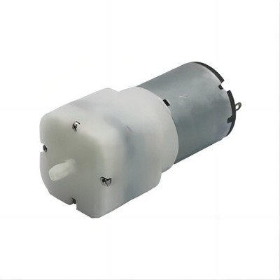 12V-36V Electric Water Pump Motor 10-30W Dc Water Pump Motor Go-Gold