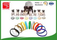 Los cuellos de la identificación del perrito enrarecen el gancho y colocan las correas para el animal doméstico del perro, color distinguen