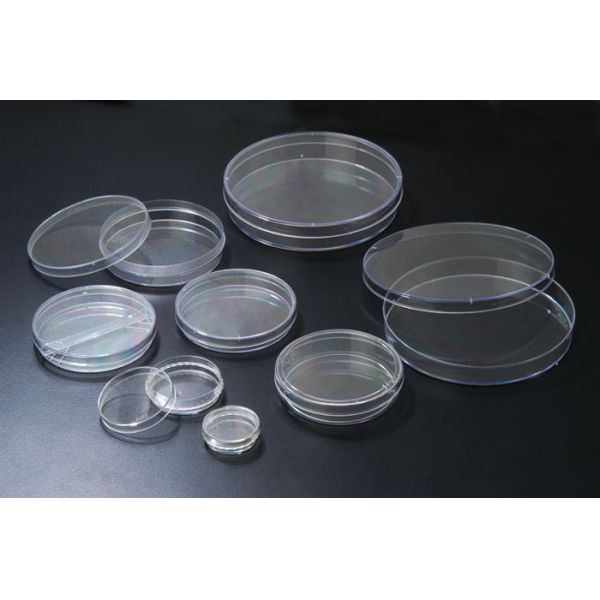 Microscope Observation 6 Cm Cell Culture Dish Surface Flat Transparent