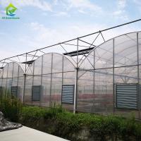 Estufa galvanizada do período da armação de aço do mergulho quente multi para tomates e pepinos