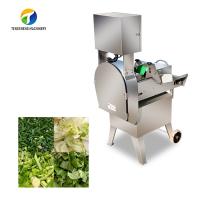 Chou à double fréquence solides solubles de pomme de terre de machine de transformation de légumes d'épinards de convertisseur