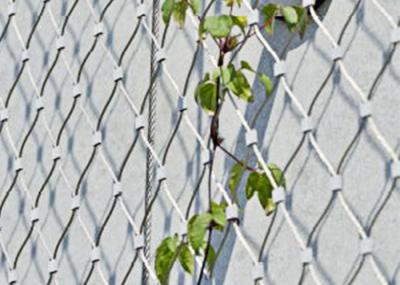 Stainless Steel Green Wall Mesh Net Ferrules / Knotted Type For Garden