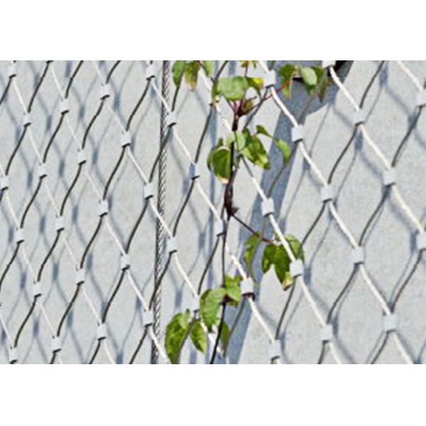 304 304L 316 316L Stainless Steel Plant Climbing Mesh