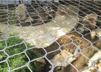 A durabilidade alta SUS316 encerrou o fio Mesh Animal Wire Mesh do jardim zoológico