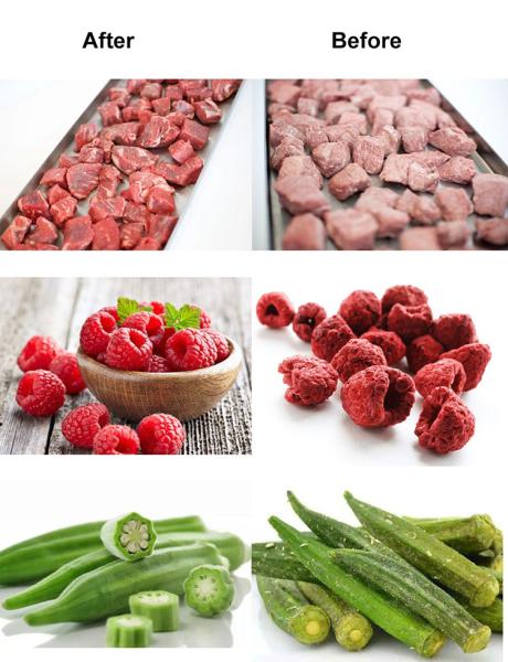 Self Service Good Quality Food Fruit Vegetable Home Freeze Dryer Lyophilizer Ce Certificate