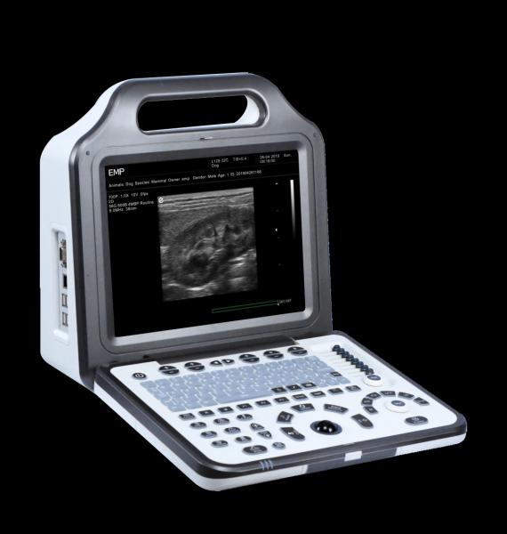 12.1 LED Home Medical Device Portable Color Doppler Ultrasound System OEM