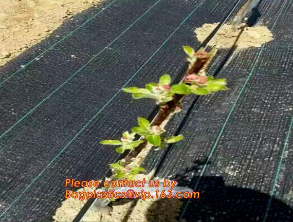 weed barrier for agriculture, weed killer fabric, agricultural anti weed mat, dust control weed mat