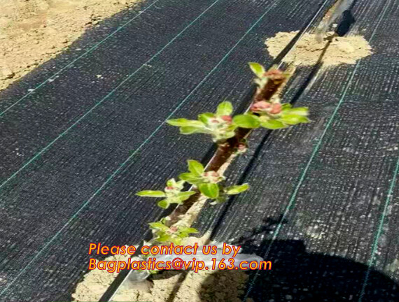 Garden tomato green house greenhouse film 3 layer eva agriculture clear plastic protective 90% transmission green house,