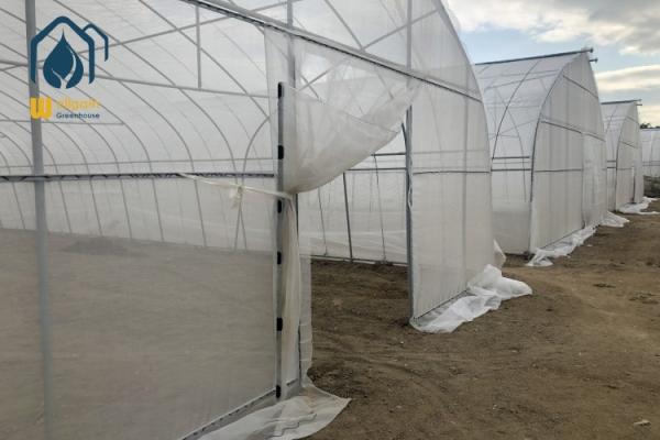 Commercial Industrial Single Span High Tunnel Tomato Plastic Agricultural Greenhouse