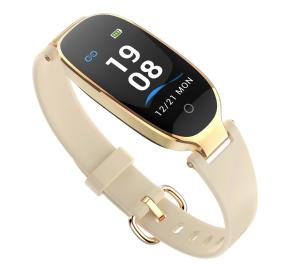 IP67 coração Rate Health Bracelet, faixa da aptidão do CE ROHS FC com Ecg