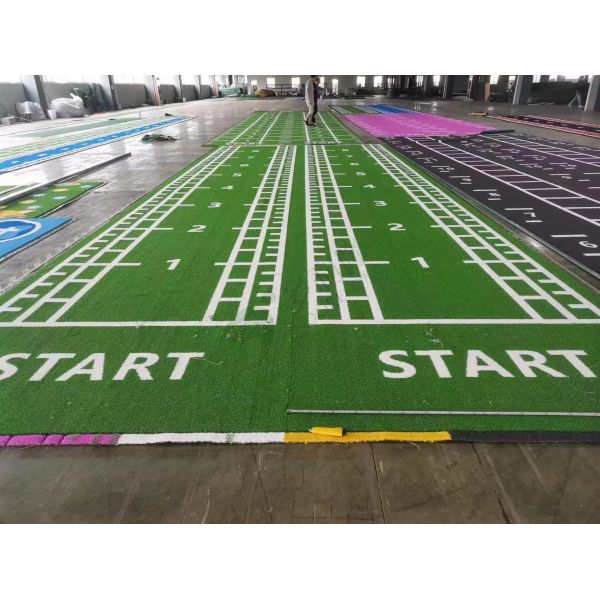 Dorelom Fitness Lawn Carpet Flooring Black Blue Rainbow Synthetic Fake Turf Gym Artificial Grass For Fitness