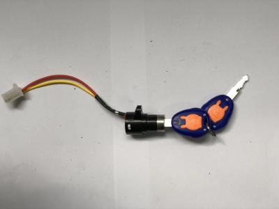 Starting Key Switch Lock Electric Rickshaw Parts , E Rickshaw Accessories Colorful