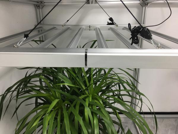 Dimmable 150lm/W 730nm Outdoor UV Light For Plants