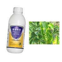 Controle eficaz de pulverização para doenças fúngicas do arroz