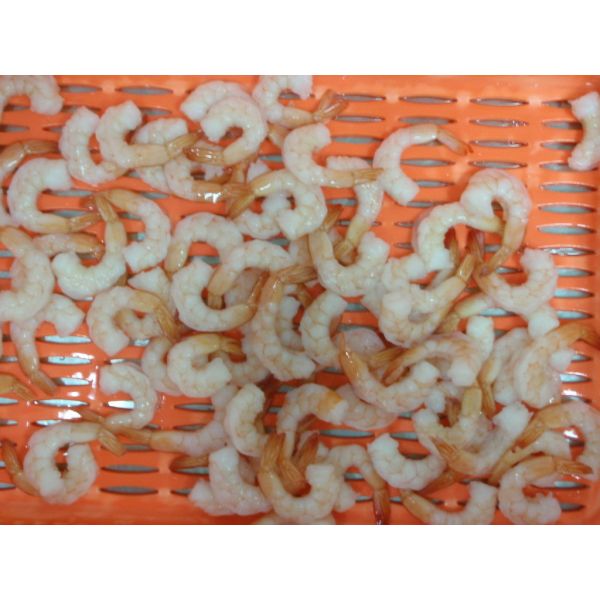 Магний морепродуктов креветки Ваннамэй свежие, который замерли богатые и фосфор кальция