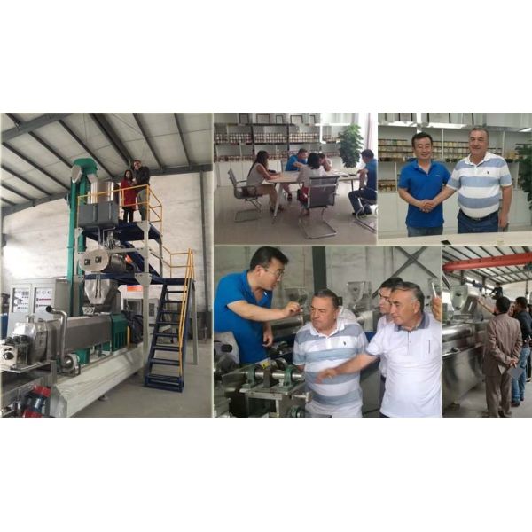 Extrusor multifuncional Maíz de maíz Cereales de desayuno Máquina de producción