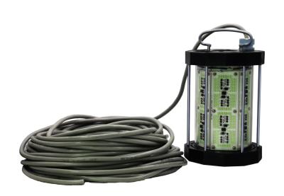 2000W Deep Sea Fishing Light Attractor Ice Fishing LED Light For Squid/cuttlefish