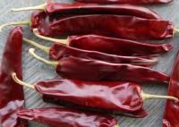 Temperar secou a categoria de Guajillo Chili Peppers Pungent Flavor A