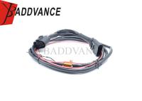 Fabrica directa OEM ODM 6 Pin Hombre Mujer Pionero Arnés de alambre resistente al agua para VW