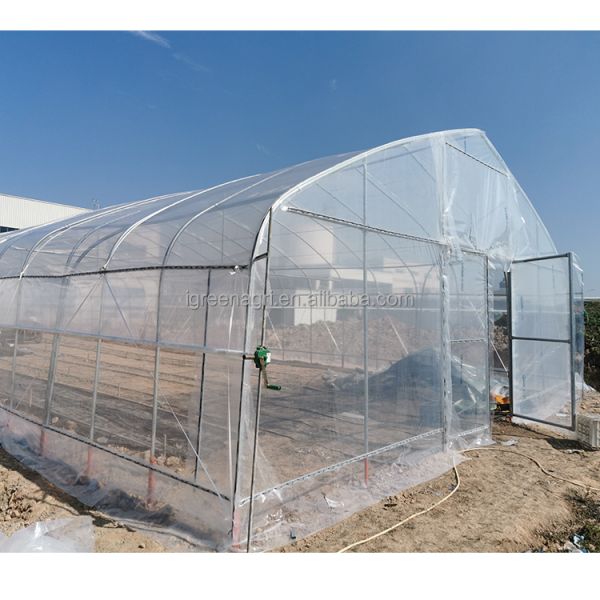 Agricultural Single-Span Tomato Greenhouse Frame PE Plastic Film for Plant Growth