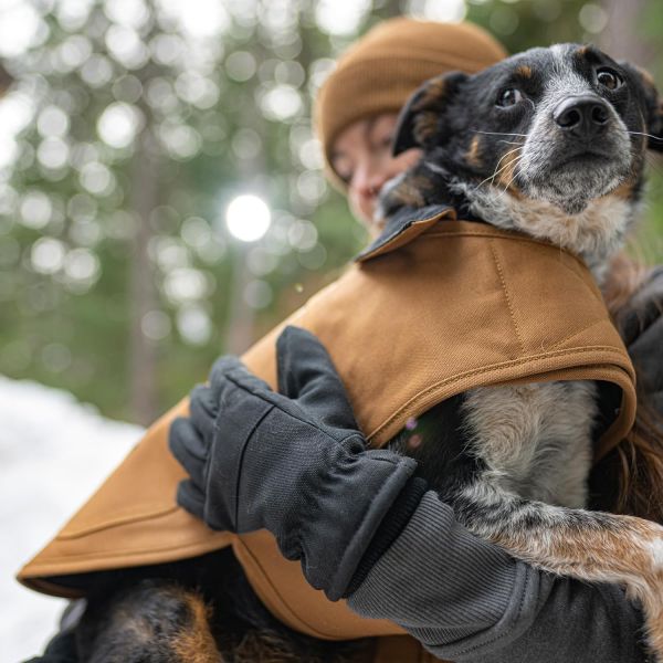 Wearable Tech Breathable Fabric Hunting Dog Clothing Vintage Print Orthopedic