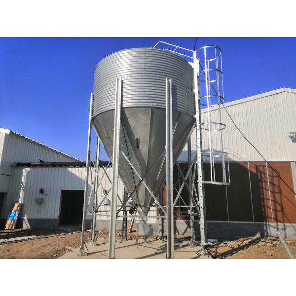 Промышленные стальные конструктивные здания Преfabricated Steel Poultry House Customized