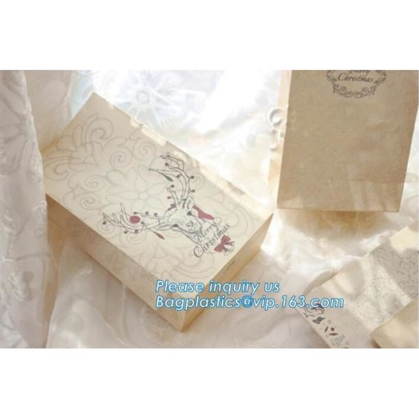 Glossy Paper Bag export to Australia,Design Clothing Gift Paper Bag, Colorful Kraft Jewelry Paper Bag bagplastics packag