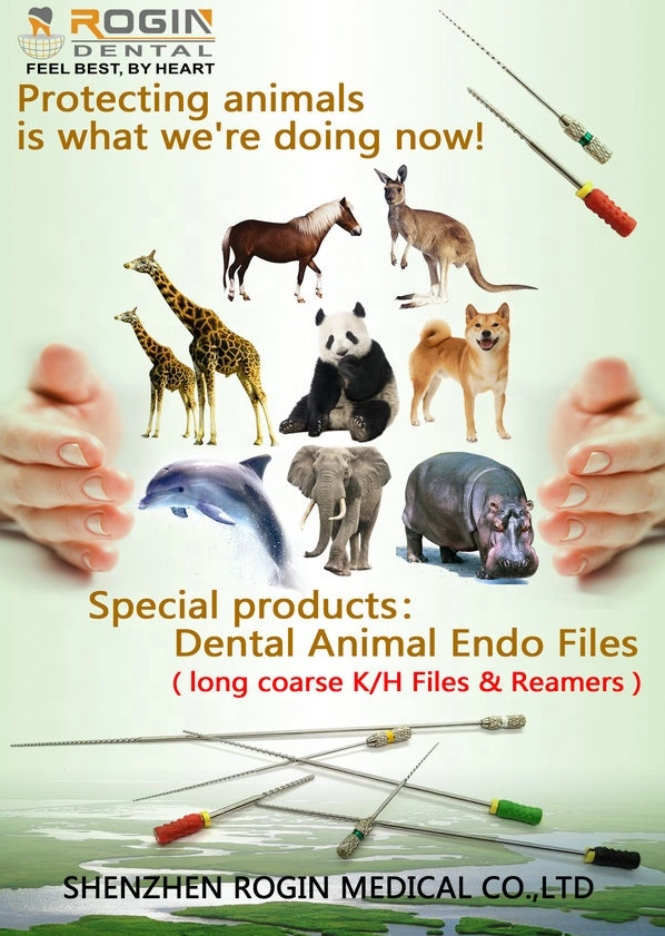 Rogin Stainless Steel Veterinary Dental Files For Animals