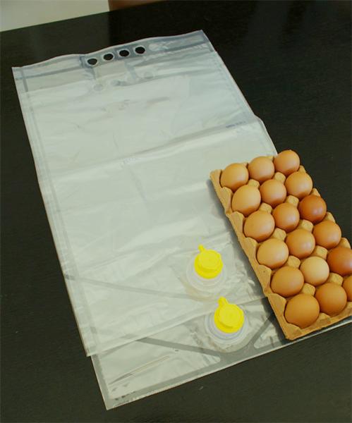 BIB liquid egg packing