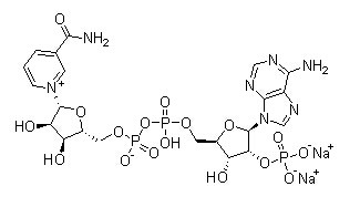 beta-Nicotinamide adenine dinucleotide phosphate disodium salt