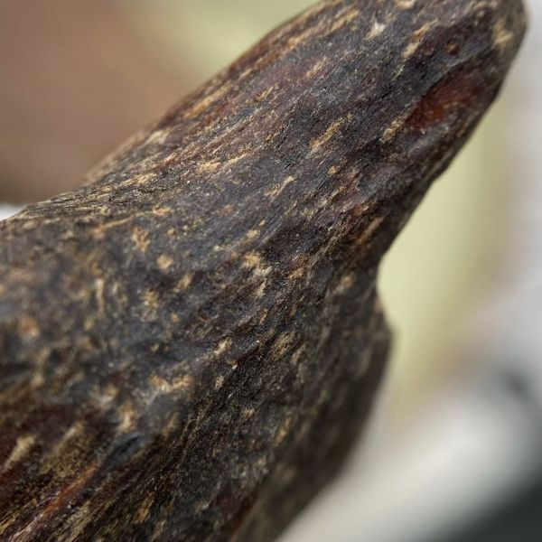 Authentic OUD Agarwood natural aromatic wood chips designed for perfume industry incense production and wellness products