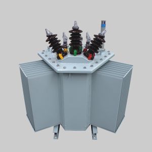 Oil Immersed Transformer