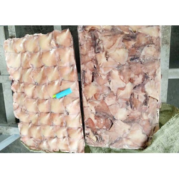 Frozen Illex Squid , Fins Argentina Squid Bqf Chinese Ocean Vessels