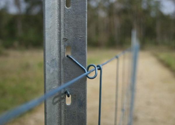 Kindergarten 1.8 M High V Mesh Fencing Playground Safety